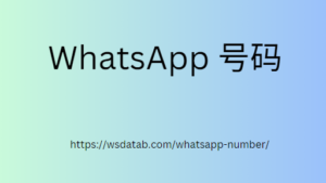 WhatsApp 号码