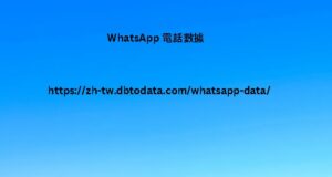 WhatsApp 電話數據