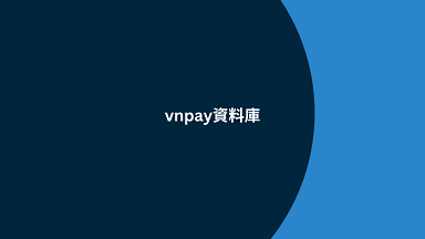 vnpay資料庫